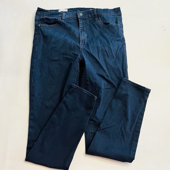 GAP Denim - Gap 1969 True Skinny High Rise Womens Size 30r Dark Wash Stretch Blue Jeans